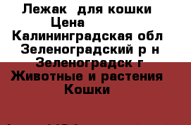 Лежак  для кошки › Цена ­ 1 000 - Калининградская обл., Зеленоградский р-н, Зеленоградск г. Животные и растения » Кошки   